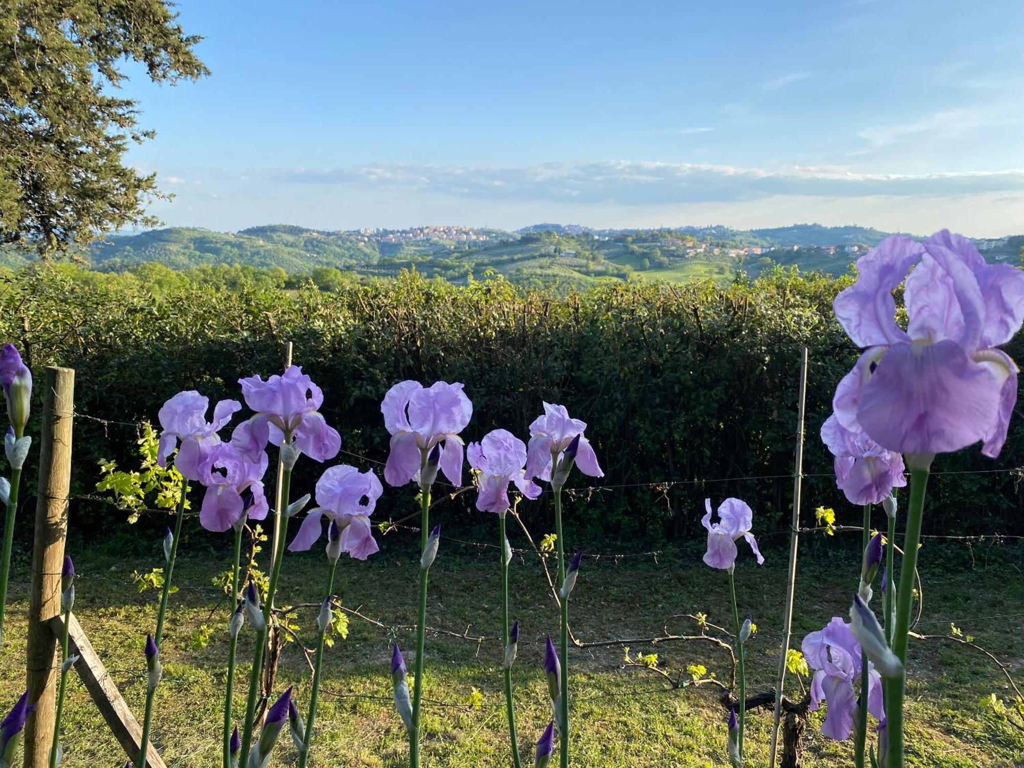 Relais Casamassima Villa Perugia Dış mekan fotoğraf